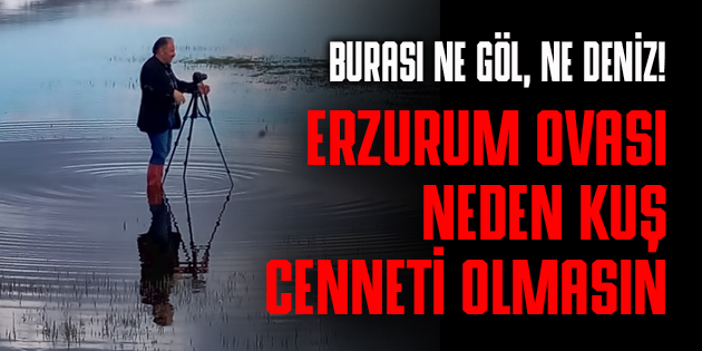 ERZURUM OVASI, NEDEN KUŞ CENNETİ OLMASIN