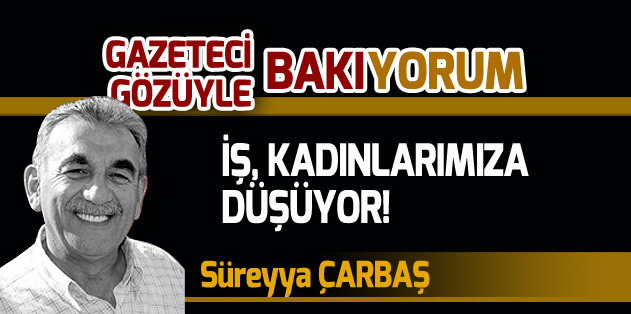 hurriyet sureyya