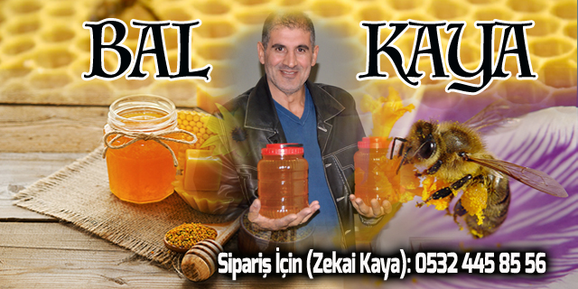 BAL-KAYA (Doğadan Gelen Sağlık)