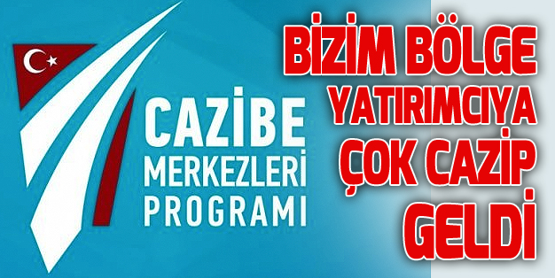 ERZURUM’A YATIRIM İÇİN KAÇ ŞİRKET BAŞVURDU