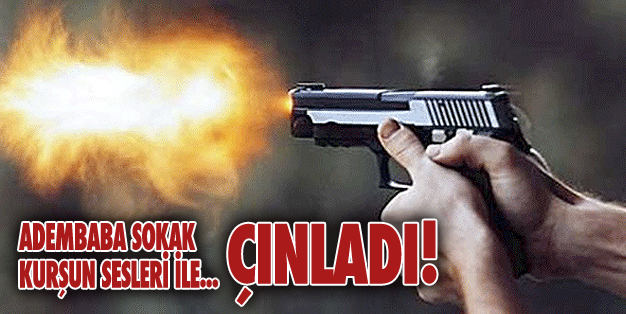 MERMİLER SADECE CAM KIRDI!