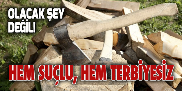 SEN MİSİN “ODUN KIRMA” DİYEN!