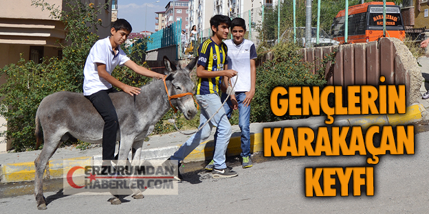 FENERLİ ARKADAŞA, BAŞARISIZLIK CEZASI