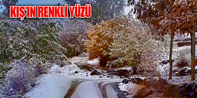 KIŞ, GAZELLERİ BEYAZA BÜRÜDÜ