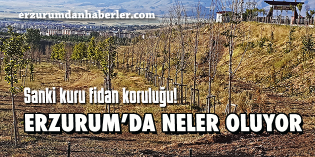 ERZURUM’DA NELER OLUYOR
