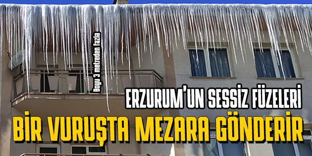 ADAM BOYU SARKITLAR GÖZ KORKUTUYOR