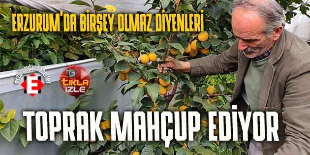 TOPRAK EMEĞİN HAKKINI VERİYOR