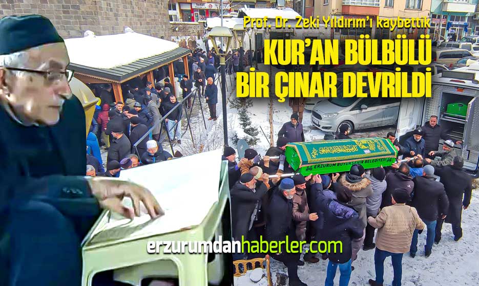 BİR ÇINAR DAHA DEVRİLDİ!