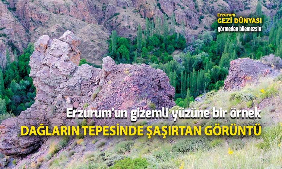 ALAPINAR’IN TEPESİNDE ASLAN MI YATIYOR