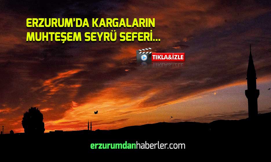 ORTADAKİ KARGA BANA DA, ORTADAKİ HANGİSİ?